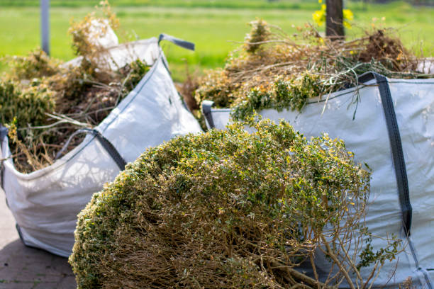 Debris Removal in Burke Centre, VA